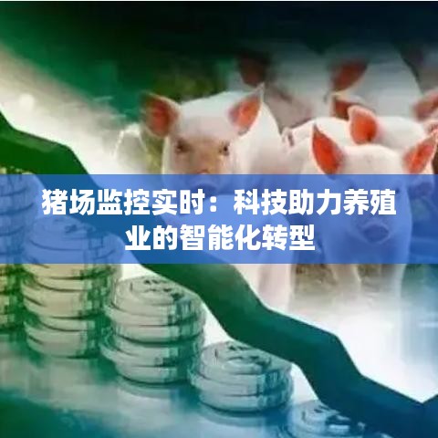 豬場(chǎng)監(jiān)控實(shí)時(shí)：科技助力養(yǎng)殖業(yè)的智能化轉(zhuǎn)型