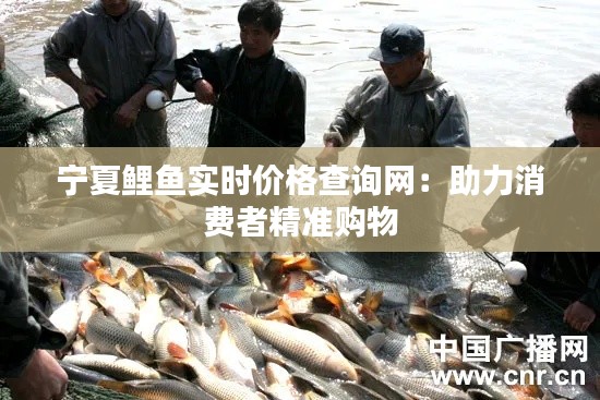 寧夏鯉魚實(shí)時(shí)價(jià)格查詢網(wǎng)：助力消費(fèi)者精準(zhǔn)購物