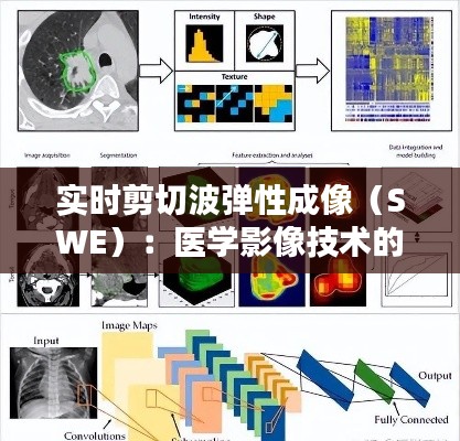 實(shí)時(shí)剪切波彈性成像（SWE）：醫(yī)學(xué)影像技術(shù)的革新之路