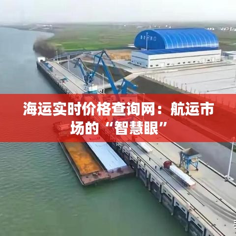海運實時價格查詢網(wǎng)：航運市場的“智慧眼”