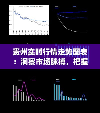 貴州實(shí)時(shí)行情走勢(shì)圖表：洞察市場(chǎng)脈搏，把握投資機(jī)遇