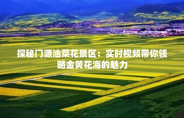 探秘門(mén)源油菜花景區(qū)：實(shí)時(shí)視頻帶你領(lǐng)略金黃花海的魅力