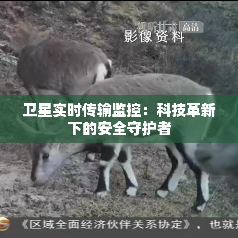 衛(wèi)星實時傳輸監(jiān)控：科技革新下的安全守護者
