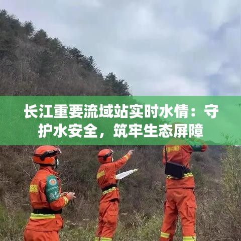 長江重要流域站實時水情：守護水安全，筑牢生態(tài)屏障