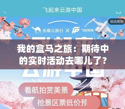 我的盒馬之旅：期待中的實(shí)時(shí)活動(dòng)去哪兒了？