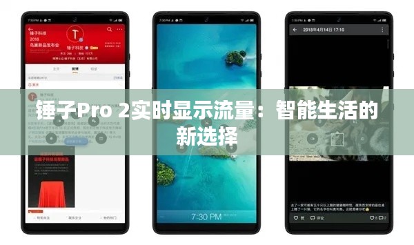 錘子Pro 2實時顯示流量：智能生活的新選擇