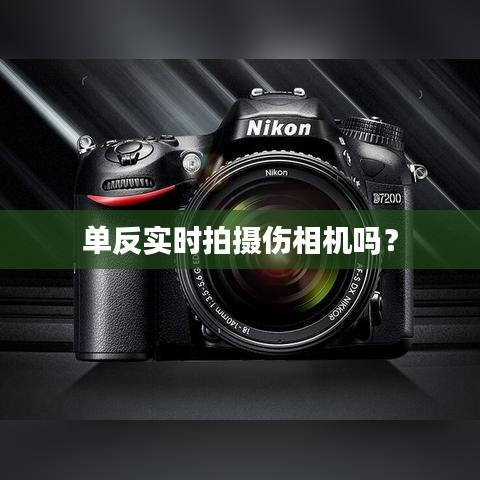 單反實(shí)時(shí)拍攝傷相機(jī)嗎？