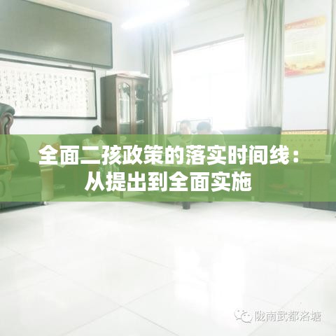 全面二孩政策的落實(shí)時(shí)間線：從提出到全面實(shí)施
