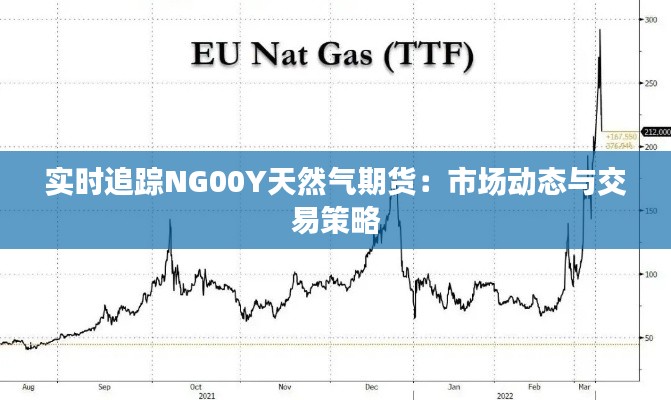 實(shí)時(shí)追蹤NG00Y天然氣期貨：市場(chǎng)動(dòng)態(tài)與交易策略