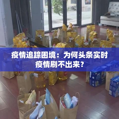 疫情追蹤困境：為何頭條實(shí)時(shí)疫情刷不出來？
