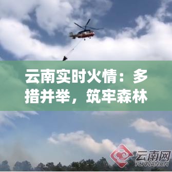 云南實時火情：多措并舉，筑牢森林防火安全線