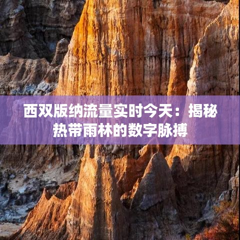 西雙版納流量實時今天：揭秘?zé)釒в炅值臄?shù)字脈搏