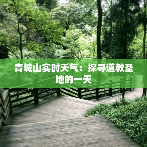 青城山實時天氣：探尋道教圣地的一天
