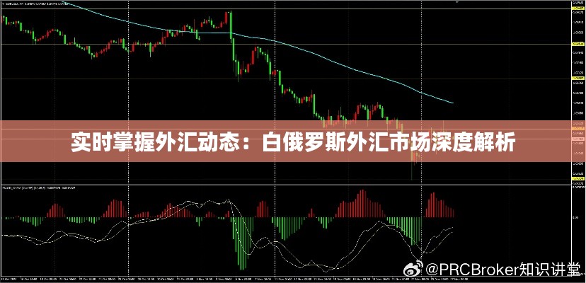 實(shí)時(shí)掌握外匯動(dòng)態(tài)：白俄羅斯外匯市場深度解析