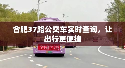 合肥37路公交車實(shí)時(shí)查詢，讓出行更便捷