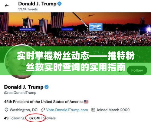 實(shí)時(shí)掌握粉絲動(dòng)態(tài)——推特粉絲數(shù)實(shí)時(shí)查詢的實(shí)用指南