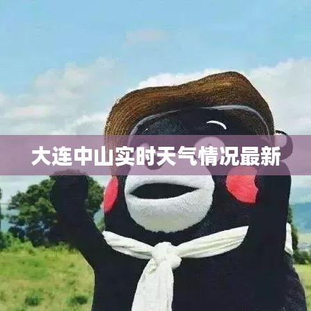 大連中山實(shí)時(shí)天氣情況最新