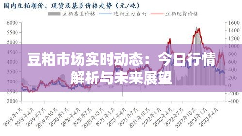 豆粕市場實時動態(tài)：今日行情解析與未來展望