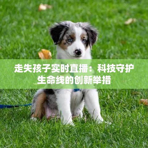 走失孩子實(shí)時直播：科技守護(hù)生命線的創(chuàng)新舉措