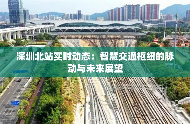 深圳北站實時動態(tài)：智慧交通樞紐的脈動與未來展望