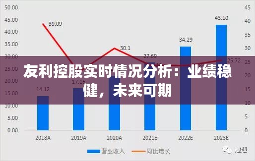 友利控股實時情況分析：業(yè)績穩(wěn)健，未來可期