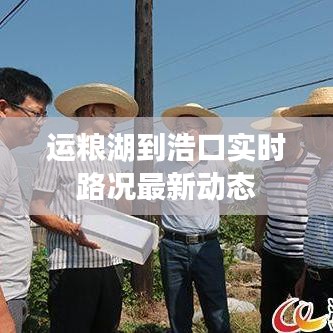 運(yùn)糧湖到浩口實(shí)時(shí)路況最新動(dòng)態(tài)