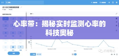心率帶：揭秘實(shí)時監(jiān)測心率的科技奧秘