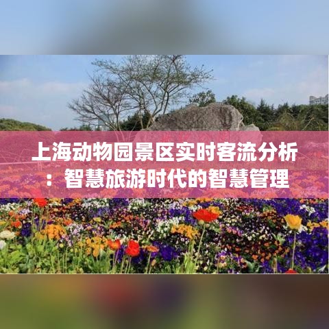 上海動物園景區(qū)實時客流分析：智慧旅游時代的智慧管理