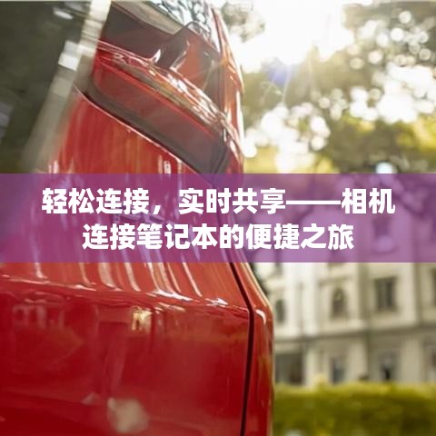 蕩然無存 第2頁