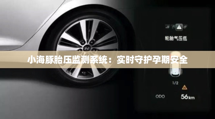 小海豚胎壓監(jiān)測系統(tǒng)：實(shí)時(shí)守護(hù)孕期安全