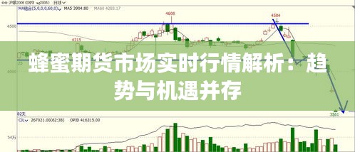 蜂蜜期貨市場實時行情解析：趨勢與機遇并存
