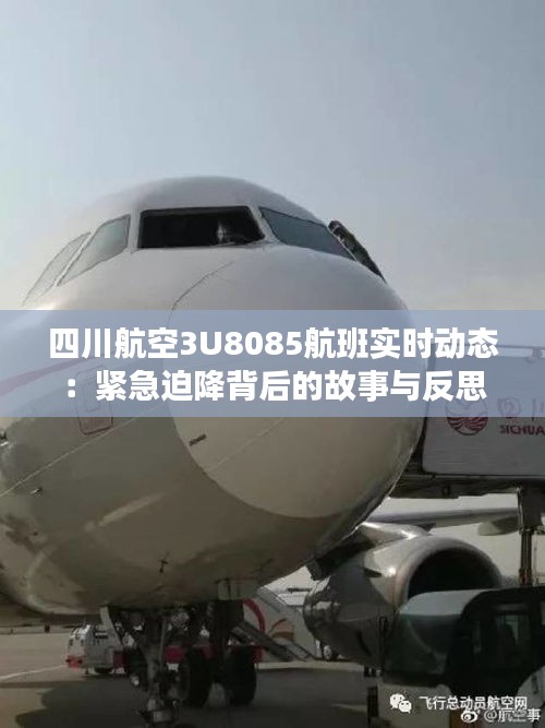 四川航空3U8085航班實時動態(tài)：緊急迫降背后的故事與反思