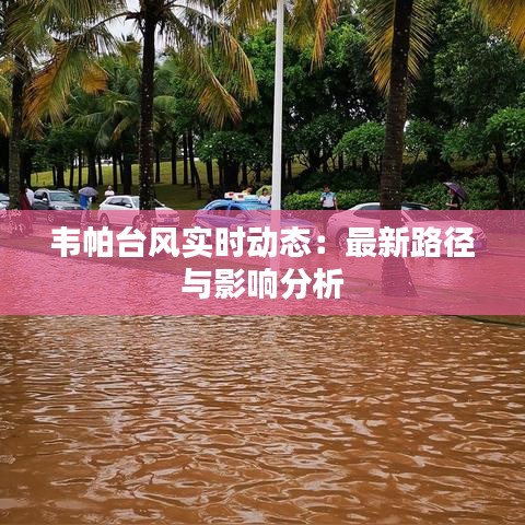 韋帕臺(tái)風(fēng)實(shí)時(shí)動(dòng)態(tài)：最新路徑與影響分析