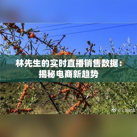 林先生的實時直播銷售數(shù)據(jù)：揭秘電商新趨勢