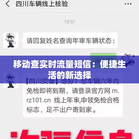 移動(dòng)查實(shí)時(shí)流量短信：便捷生活的新選擇