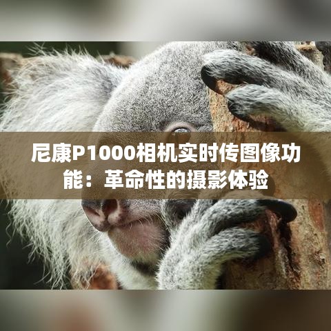 尼康P1000相機(jī)實(shí)時(shí)傳圖像功能：革命性的攝影體驗(yàn)
