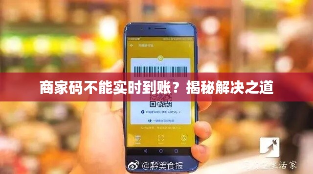 商家碼不能實(shí)時(shí)到賬？揭秘解決之道