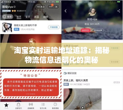 淘寶實時運輸?shù)刂纷粉櫍航颐匚锪餍畔⑼该骰膴W秘