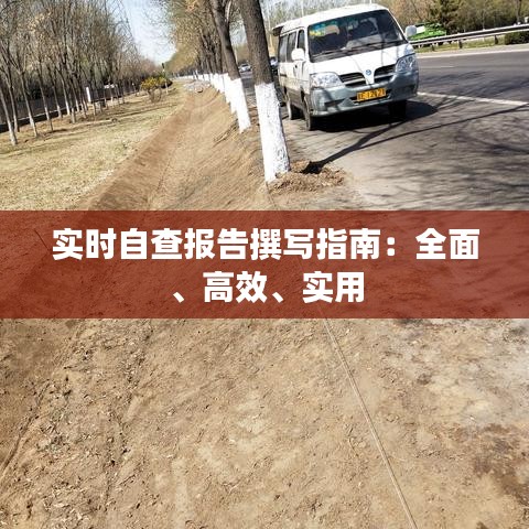 實時自查報告撰寫指南：全面、高效、實用