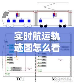 實(shí)時(shí)航運(yùn)軌跡圖怎么看