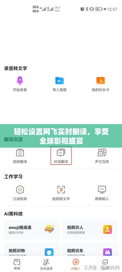 輕松設(shè)置網(wǎng)飛實時翻譯，享受全球影視盛宴
