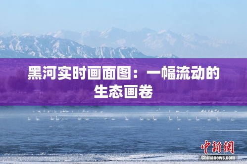 黑河實(shí)時(shí)畫面圖：一幅流動(dòng)的生態(tài)畫卷