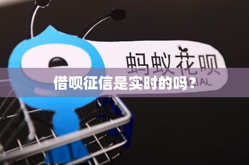借唄征信是實(shí)時(shí)的嗎？