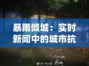 暴雨傾城：實(shí)時(shí)新聞中的城市抗洪紀(jì)實(shí)