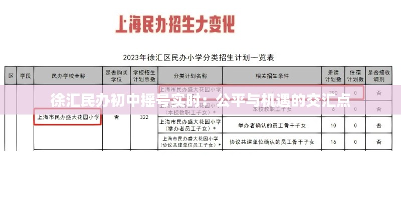 徐匯民辦初中搖號實時：公平與機遇的交匯點