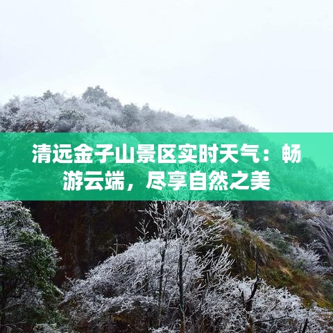 清遠(yuǎn)金子山景區(qū)實(shí)時天氣：暢游云端，盡享自然之美