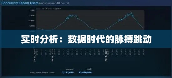 實(shí)時(shí)分析：數(shù)據(jù)時(shí)代的脈搏跳動(dòng)
