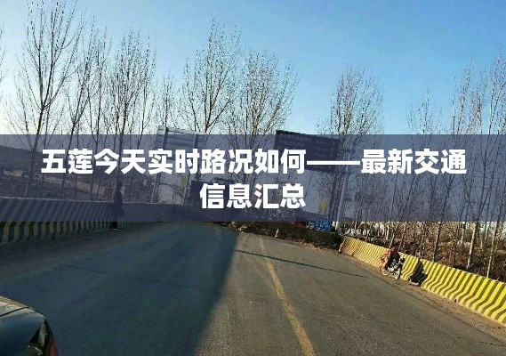 五蓮今天實時路況如何——最新交通信息匯總