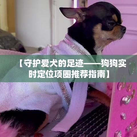 【守護(hù)愛(ài)犬的足跡——狗狗實(shí)時(shí)定位項(xiàng)圈推薦指南】