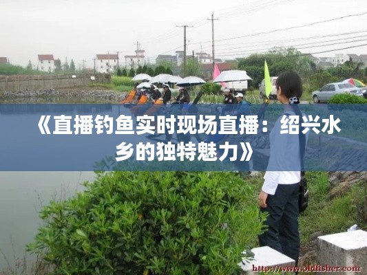 《直播釣魚(yú)實(shí)時(shí)現(xiàn)場(chǎng)直播：紹興水鄉(xiāng)的獨(dú)特魅力》